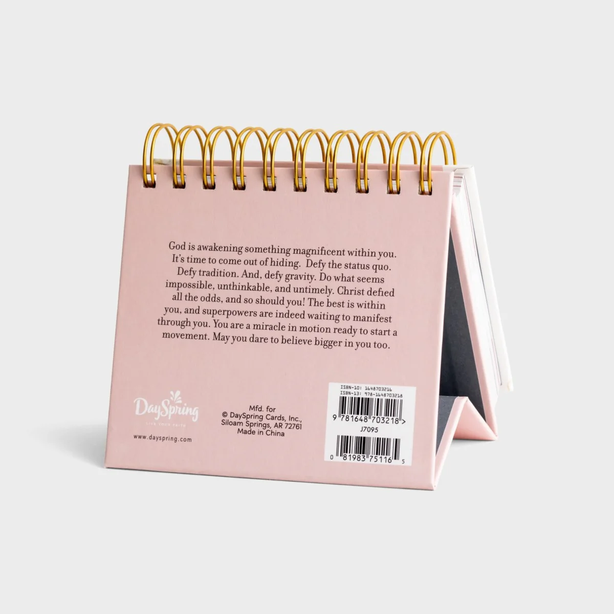 Believing Bigger-Perpetual Calendar-Marshawn Evans Daniels - Image 5