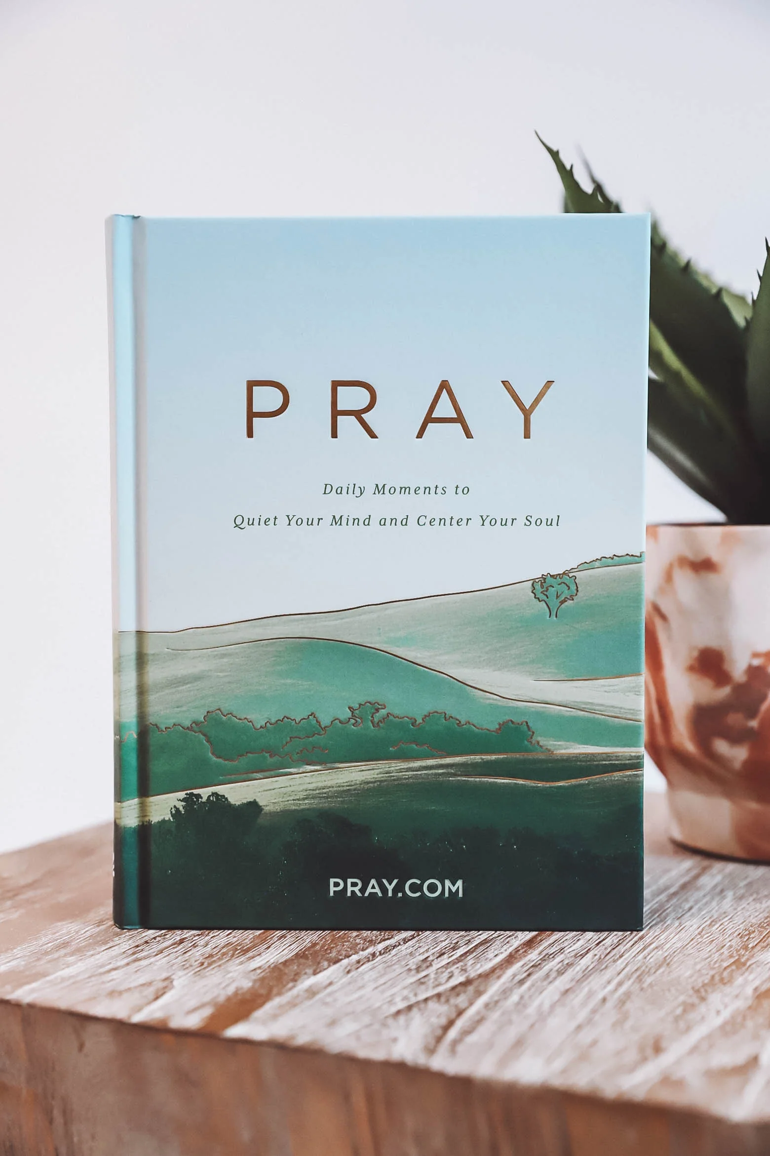 PRAY: Daily Moments to Quiet Your Mind and Center Your Soul - Image 8